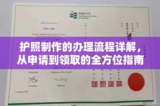积石山护照制作的办理流程详解，从申请到领取的全方位指南