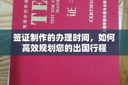 积石山签证制作的办理时间，如何高效规划您的出国行程