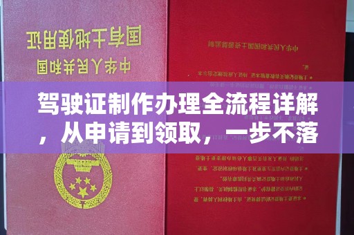 积石山驾驶证制作办理全流程详解，从申请到领取，一步不落