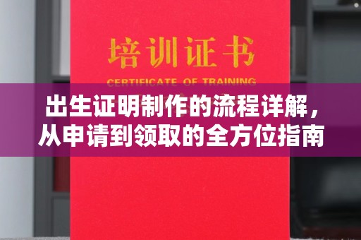 积石山出生证明制作的流程详解，从申请到领取的全方位指南