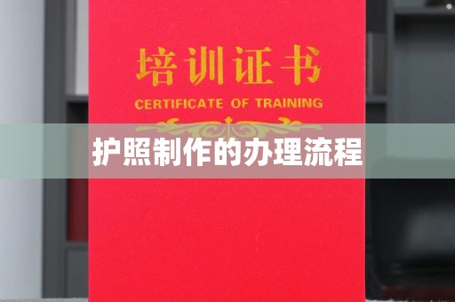 积石山护照制作的办理流程